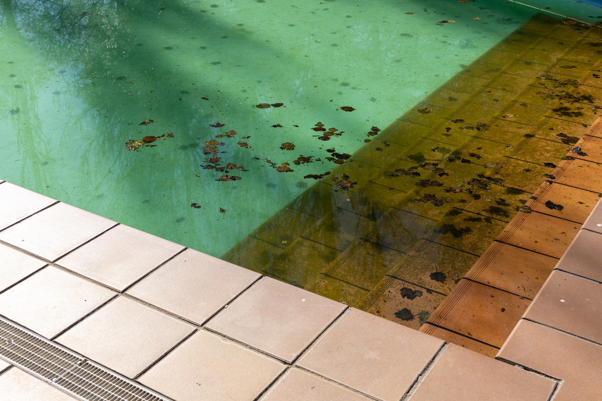 legionella nei centri sportivi