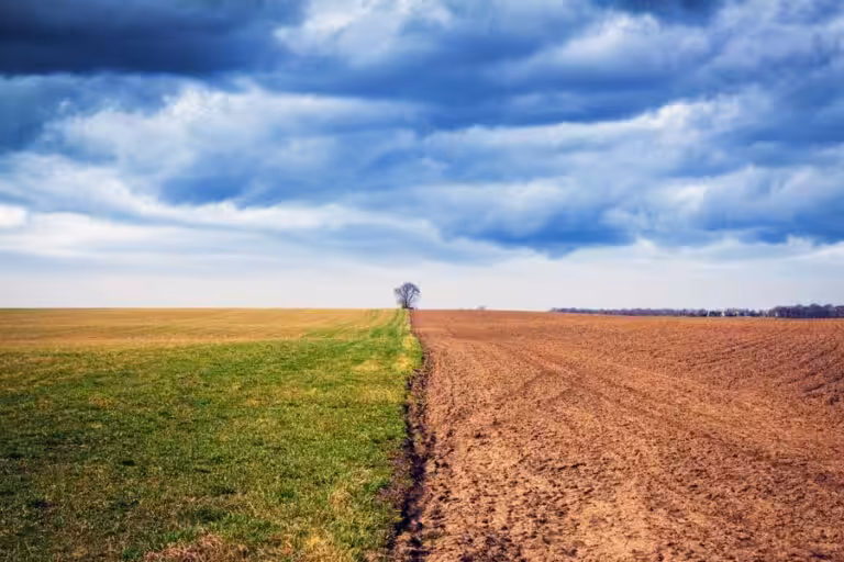 cambiamento climatico