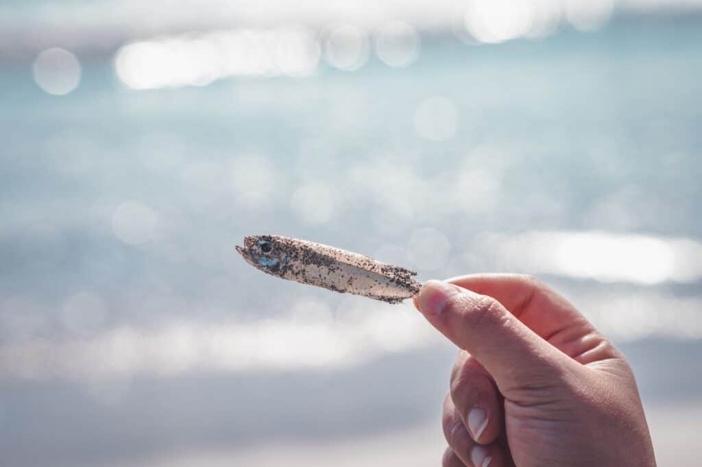 Microplastiche nei Rifiuti: Protocolli di Riduzione e Tracciabilità
