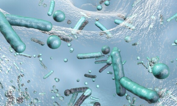 Rischio Legionella: cos’è e come valutarlo
