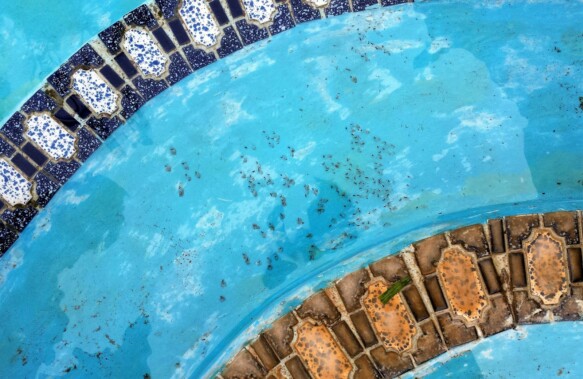 legionella come prevenire